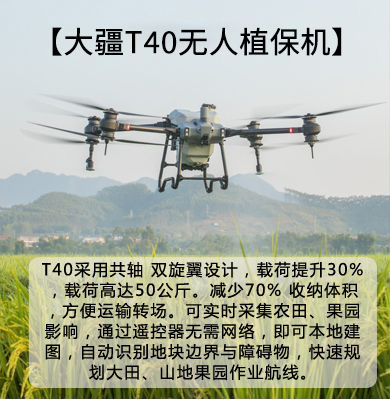 &#21326;&#20307;&#20250;&#104;&#116;&#104;